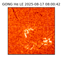 gong - 2025-08-17T08:00:42