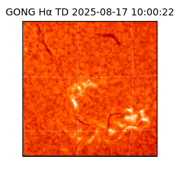 gong - 2025-08-17T10:00:22