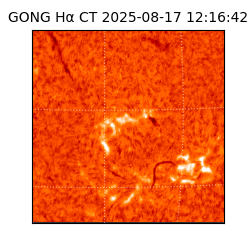 gong - 2025-08-17T12:16:42