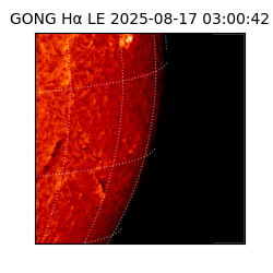 gong - 2025-08-17T03:00:42