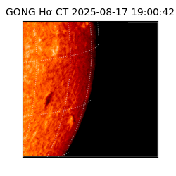 gong - 2025-08-17T19:00:42