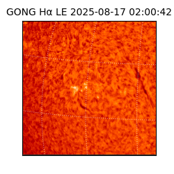 gong - 2025-08-17T02:00:42