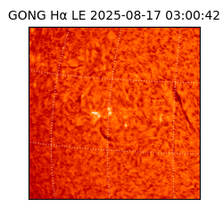 gong - 2025-08-17T03:00:42