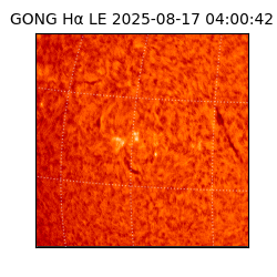 gong - 2025-08-17T04:00:42