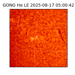 gong - 2025-08-17T05:00:42