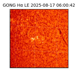 gong - 2025-08-17T06:00:42