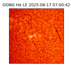 gong - 2025-08-17T07:00:42