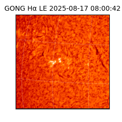 gong - 2025-08-17T08:00:42