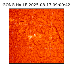 gong - 2025-08-17T09:00:42