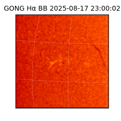 gong - 2025-08-17T23:00:02