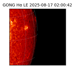 gong - 2025-08-17T02:00:42