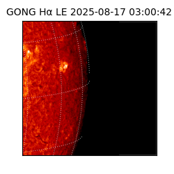 gong - 2025-08-17T03:00:42