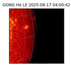 gong - 2025-08-17T04:00:42