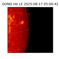 gong - 2025-08-17T05:00:42
