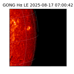 gong - 2025-08-17T07:00:42