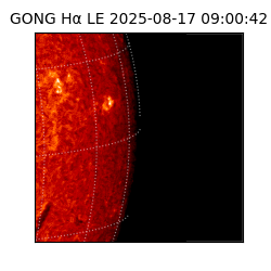 gong - 2025-08-17T09:00:42