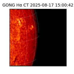 gong - 2025-08-17T15:00:42