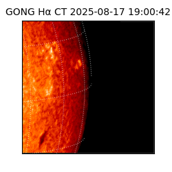 gong - 2025-08-17T19:00:42
