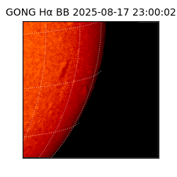 gong - 2025-08-17T23:00:02