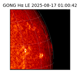 gong - 2025-08-17T01:00:42