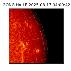 gong - 2025-08-17T04:00:42