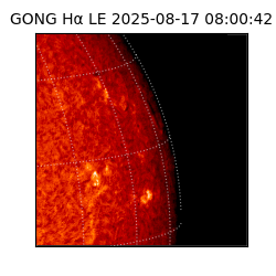 gong - 2025-08-17T08:00:42