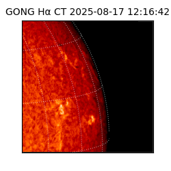 gong - 2025-08-17T12:16:42