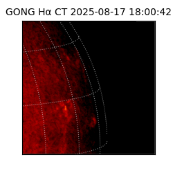 gong - 2025-08-17T18:00:42