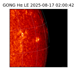 gong - 2025-08-17T02:00:42