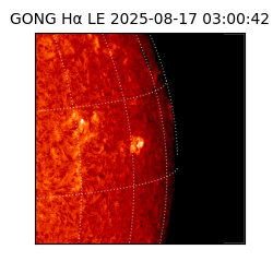 gong - 2025-08-17T03:00:42
