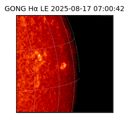 gong - 2025-08-17T07:00:42