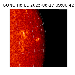 gong - 2025-08-17T09:00:42