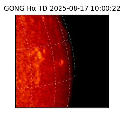 gong - 2025-08-17T10:00:22