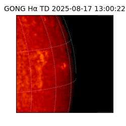 gong - 2025-08-17T13:00:22