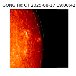 gong - 2025-08-17T19:00:42
