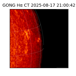 gong - 2025-08-17T21:00:42