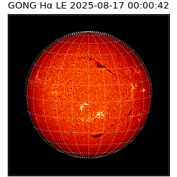 gong - 2025-08-17T00:00:42