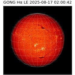 gong - 2025-08-17T02:00:42