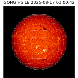 gong - 2025-08-17T03:00:42