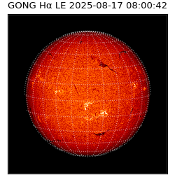 gong - 2025-08-17T08:00:42