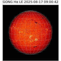 gong - 2025-08-17T09:00:42