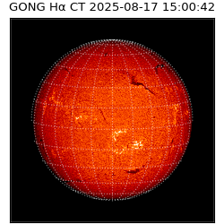 gong - 2025-08-17T15:00:42