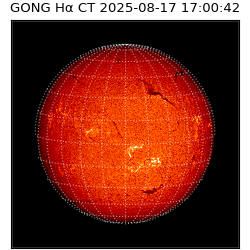 gong - 2025-08-17T17:00:42