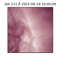 saia - 2025-08-18T10:00:09.630000