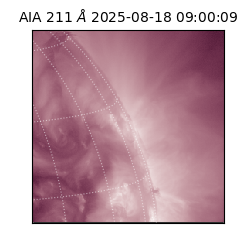 saia - 2025-08-18T09:00:09.626000