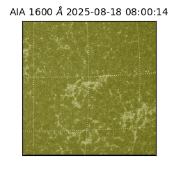 saia - 2025-08-18T08:00:14.126000