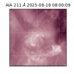 saia - 2025-08-18T08:00:09.629000