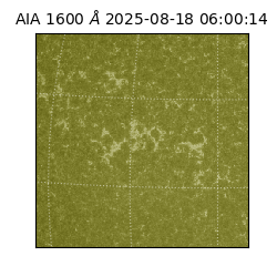 saia - 2025-08-18T06:00:14.126000