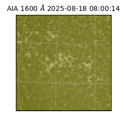 saia - 2025-08-18T08:00:14.126000