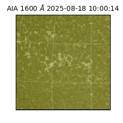 saia - 2025-08-18T10:00:14.126000